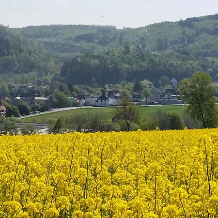 Gemuetliche Dachgeschoss- Im Gruenen Sundern