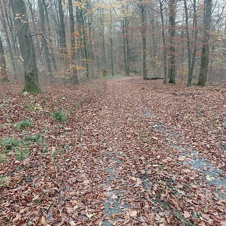 Gemuetliche Dachgeschoss- Im Gruenen Daire Sundern