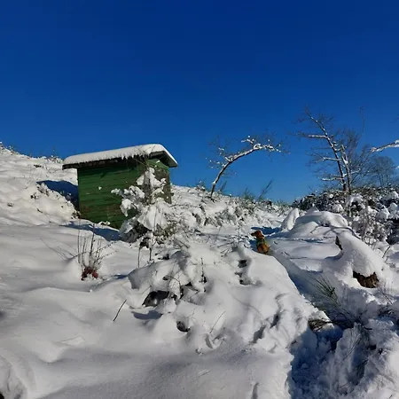 Apartamento Gemütliche Dachgeschoss- Im Grünen *