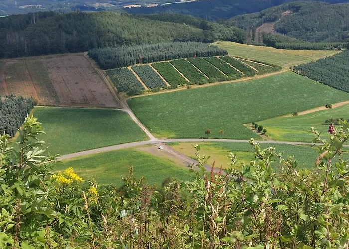 Gemuetliche Dachgeschoss- Im Gruenen Daire *