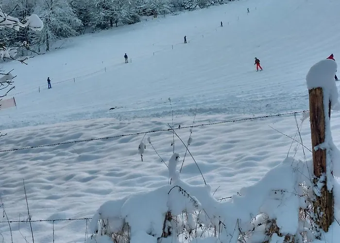 Gemuetliche Dachgeschoss- Im Gruenen *