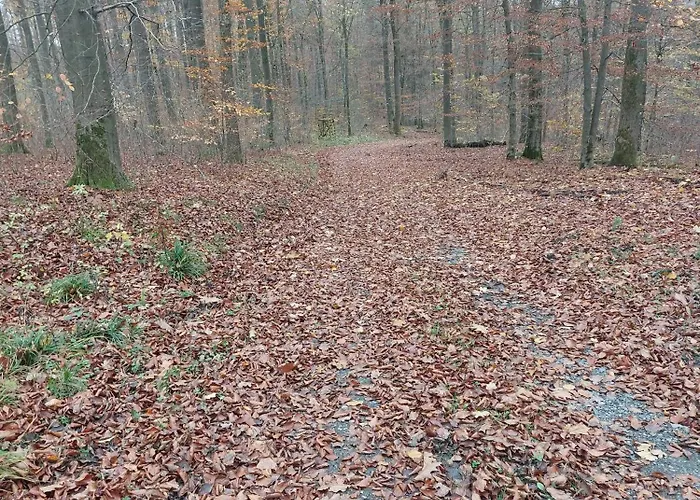 Gemuetliche Dachgeschoss- Im Gruenen Daire Sundern